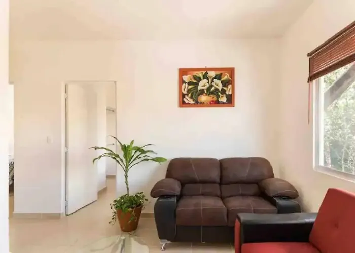 Charming Space With Pool Near Beach & Tren Maya