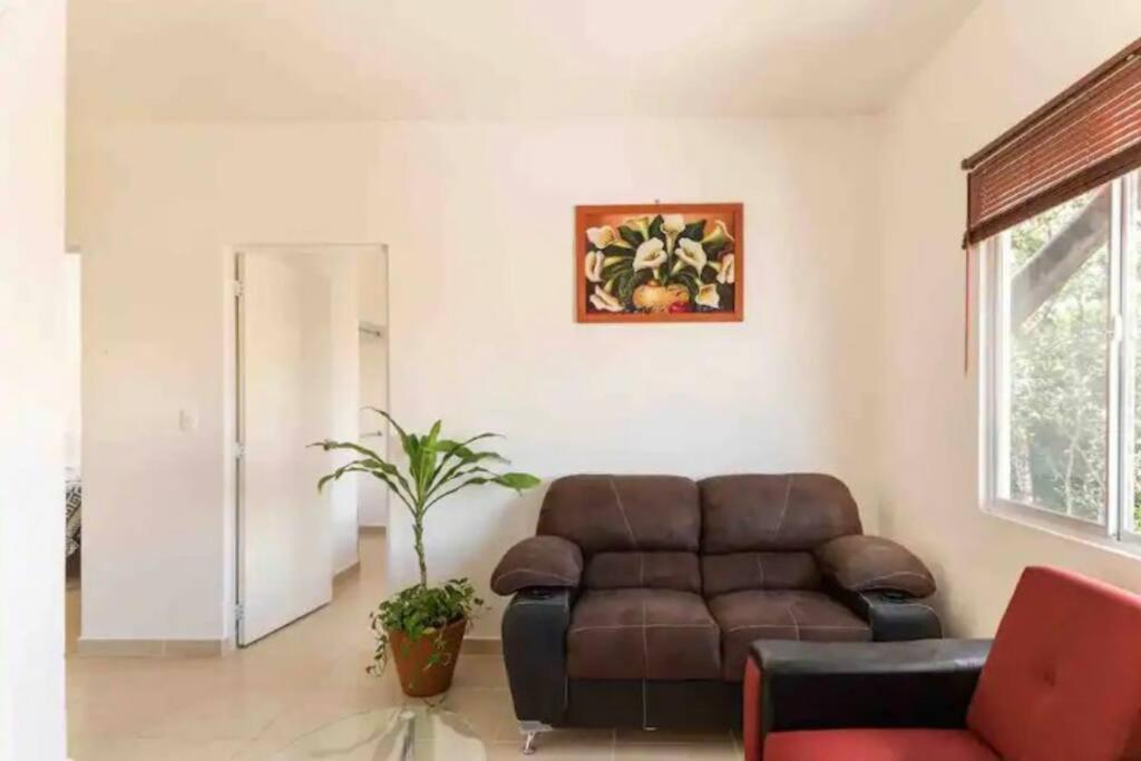 Apartamento Charming Space With Pool Near & Tren Maya Playa del Carmen